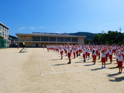 学習の様子